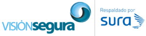 logo-2 visión segura